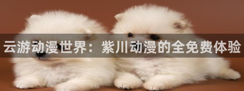 mypico樱花动漫：云游动漫世界：紫川动漫的全免费体验